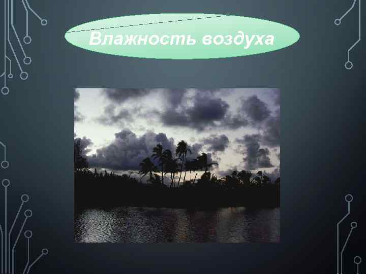 Влажность воздуха 