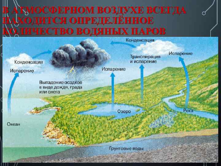 В АТМОСФЕРНОМ ВОЗДУХЕ ВСЕГДА НАХОДИТСЯ ОПРЕДЕЛЁННОЕ КОЛИЧЕСТВО ВОДЯНЫХ ПАРОВ 2 