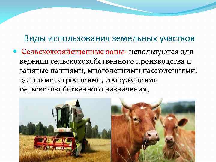 Сельскохозяйственного использования и сельскохозяйственного производства