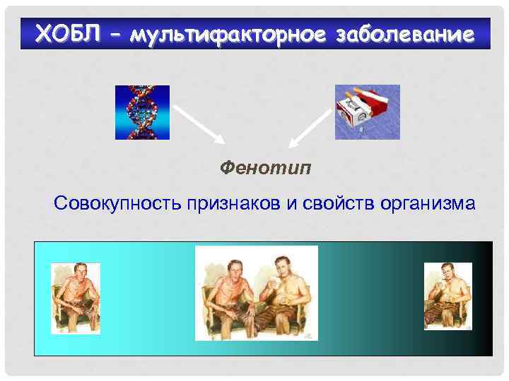 ХОБЛ – мультифакторное заболевание Фенотип Совокупность признаков и свойств организма 