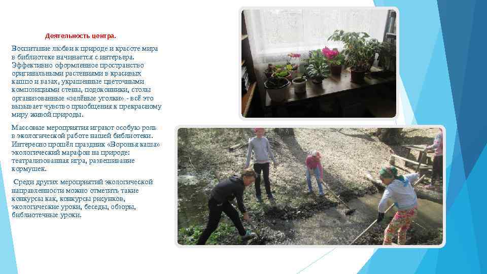 Деятельность центра. Воспитание любви к природе и красоте мира в библиотеке начинается с интерьера.