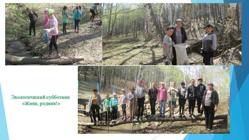 Экологический субботник «Живи, родник!» 