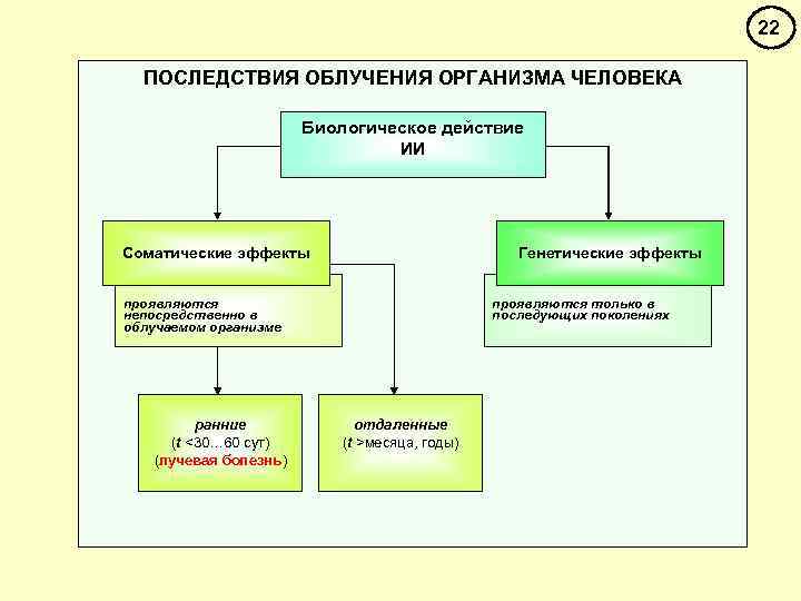22 ПОСЛЕДСТВИЯ ОБЛУЧЕНИЯ ОРГАНИЗМА ЧЕЛОВЕКА Биологическое действие ИИ Соматические эффекты Генетические эффекты проявляются только