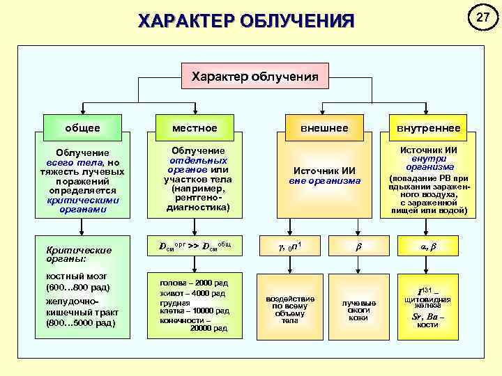 27 ХАРАКТЕР ОБЛУЧЕНИЯ Характер облучения общее Облучение всего тела, но тяжесть лучевых поражений определяется