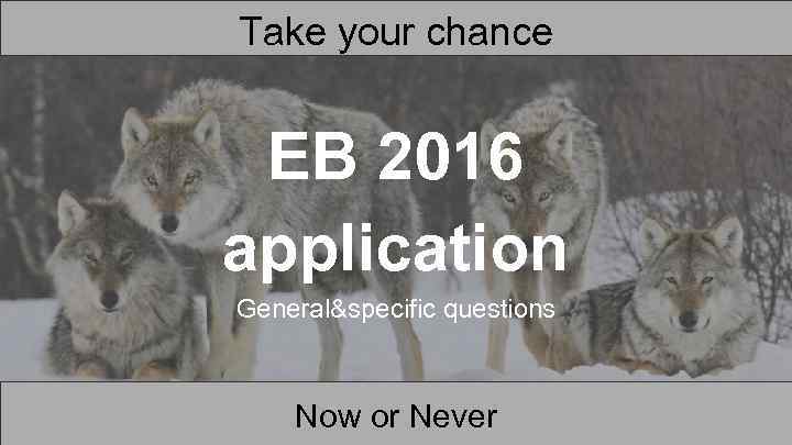 Take your chance EB 2016 application General&specific questions Now or Never 