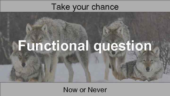 Take your chance Functional question Now or Never 