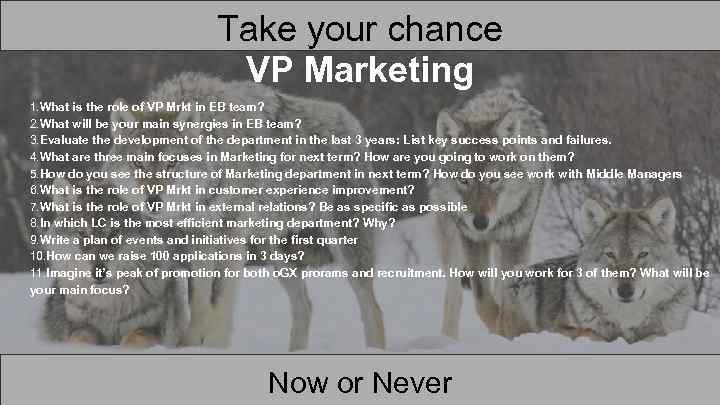 Take your chance VP Marketing 1. What is the role of VP Mrkt in