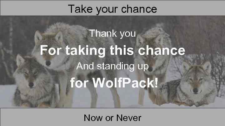 Take your chance Thank you For taking this chance And standing up for Wolf.