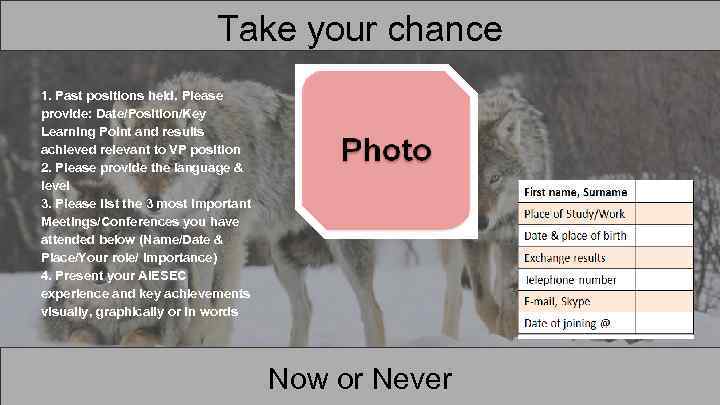 Take your chance 1. Past positions held. Please provide: Date/Position/Key Learning Point and results