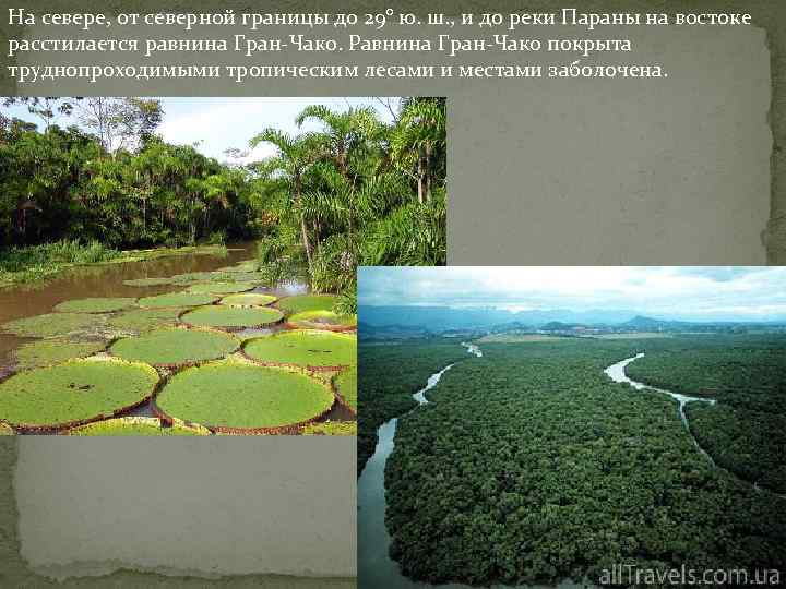 На севере, от северной границы до 29° ю. ш. , и до реки Параны