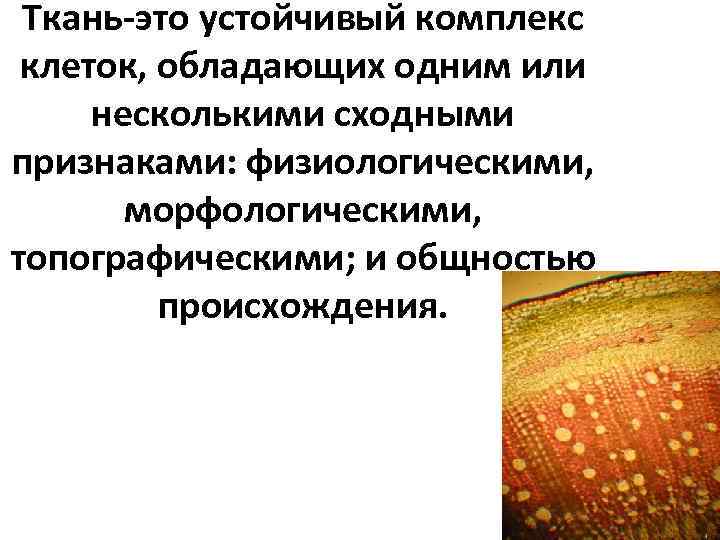 Ткань-это устойчивый комплекс клеток, обладающих одним или несколькими сходными признаками: физиологическими, морфологическими, топографическими; и