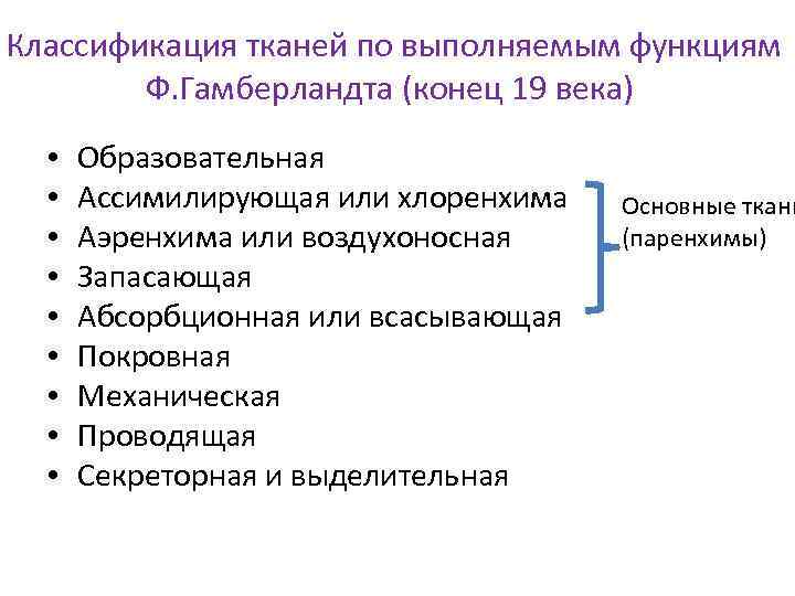 Классификация тканей по выполняемым функциям Ф. Гамберландта (конец 19 века) • • • Образовательная