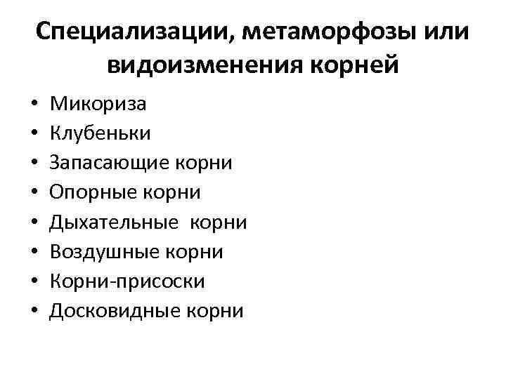 Специализации, метаморфозы или видоизменения корней • • Микориза Клубеньки Запасающие корни Опорные корни Дыхательные