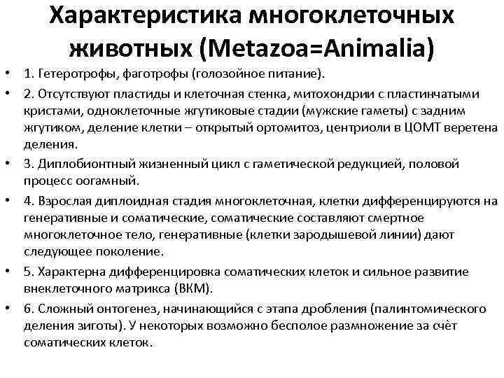 Характеристика многоклеточных животных (Metazoa=Animalia) • 1. Гетеротрофы, фаготрофы (голозойное питание). • 2. Отсутствуют пластиды