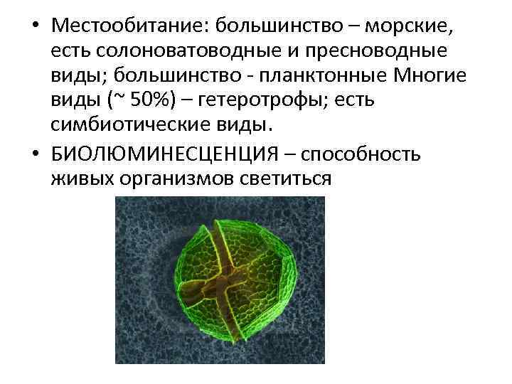  • Местообитание: большинство – морские, есть солоноватоводные и пресноводные виды; большинство - планктонные