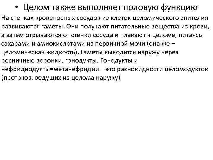  • Целом также выполняет половую функцию На стенках кровеносных сосудов из клеток целомического