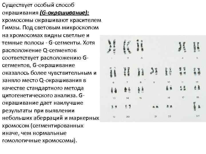 Изменение окраски хромосом