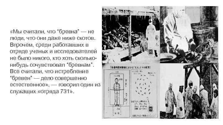  «Мы считали, что “бревна” — не люди, что они даже ниже скотов. Впрочем,