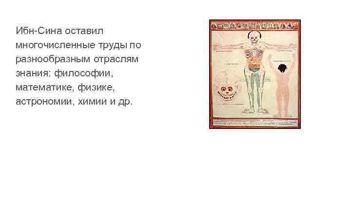 Ибн-Сина оставил многочисленные труды по разнообразным отраслям знания: философии, математике, физике, астрономии, химии и