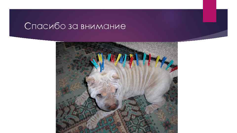 Спасибо за внимание 