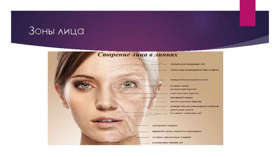 Зоны лица 