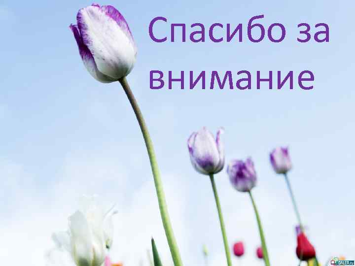Спасибо за внимание 