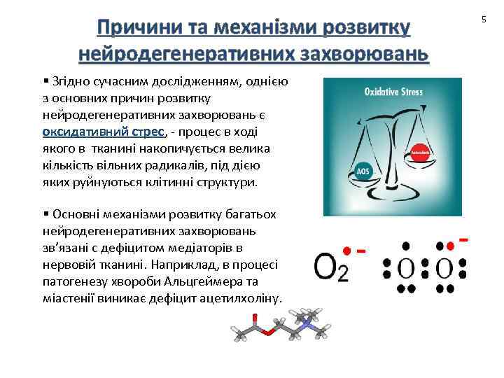 Причини та механізми розвитку нейродегенеративних захворювань § Згідно сучасним дослідженням, однією з основних причин