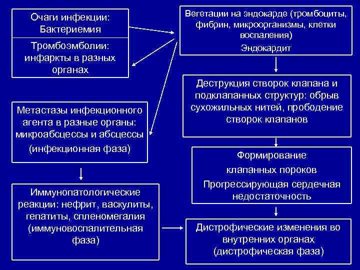 Очаги инфекции: Бактериемия Тромбоэмболии: инфаркты в разных органах Метастазы инфекционного агента в разные органы: