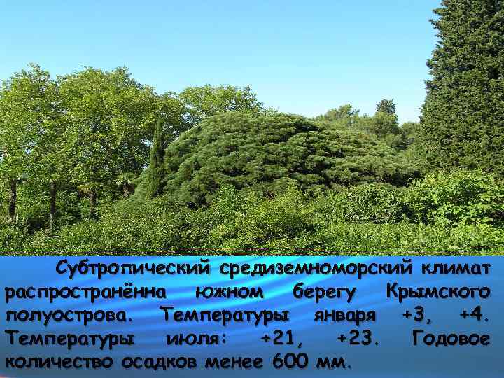 Субтропический средиземноморский климат распространённа южном берегу Крымского полуострова. Температуры января +3, +4. Температуры июля: