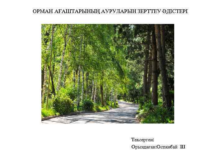 ОРМАН АҒАШТАРЫНЫҢ АУРУЛАРЫН ЗЕРТТЕУ ӘДІСТЕРІ Тексерген: Орындаған: Оспанбай Ш 