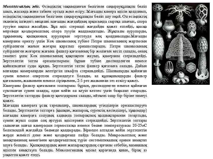 Микологиялық әдіс. Өсімдіктің зақымданған бөлігінен саңырауқұлақты бөліп алып, жасанда және табиғи ортада жеке өсіру.