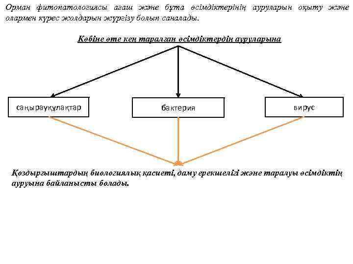 Орман фитопатологиясы ағаш және бұта өсімдіктерінің ауруларын оқыту және олармен күрес жолдарын жүргізу болып