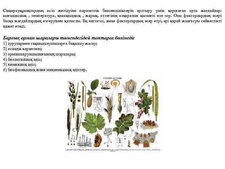 Саңырауқұлақтардың өсіп жетілуіне паразиттік белсенділіктерін арттыру үшін қоршаған орта жағдайлар: ылғалдылық , температура, қышқылдық