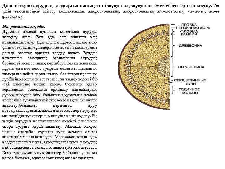 Диагноз қою аурудың қоздырғышының типі жұқпалы, жұқпалы емес себептерін анықтау. Ол үшін төмендегідей әдістер