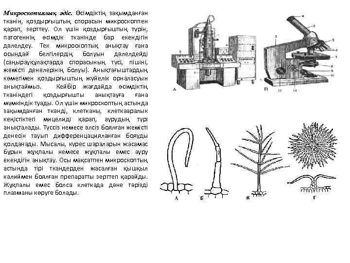 Тірі ағзаларды микроскопиялық зерттеу 5 сынып презентация