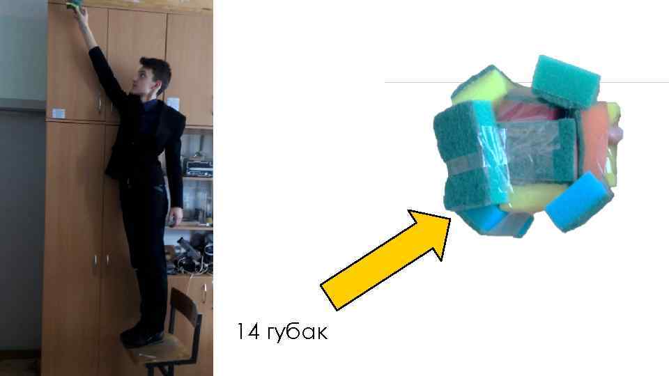 ◉ ◉ 14 губак 