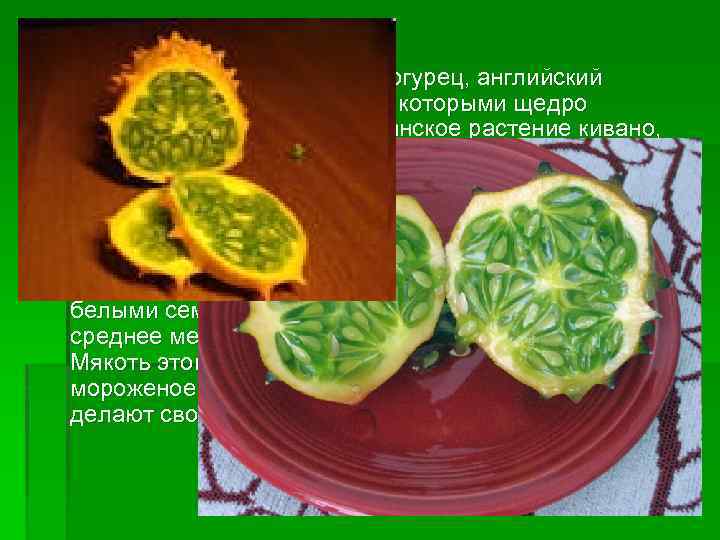 § Рогатая дыня, африканский огурец, английский помидор – все это названия, которыми щедро наделили