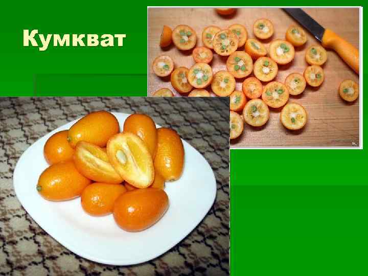 Кумкват 