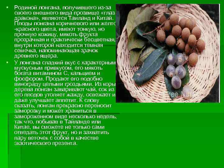 § Родиной лонгана, получившего из-за своего внешнего вида прозвище «глаз дракона» , являются Таиланд