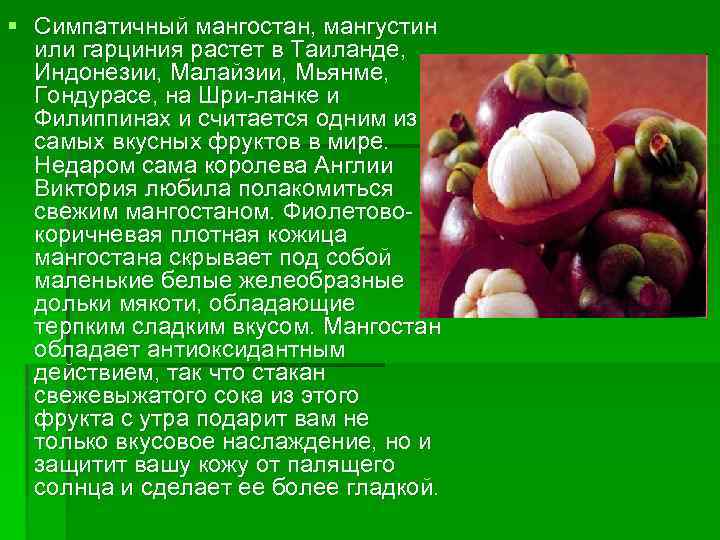 § Симпатичный мангостан, мангустин или гарциния растет в Таиланде, Индонезии, Малайзии, Мьянме, Гондурасе, на