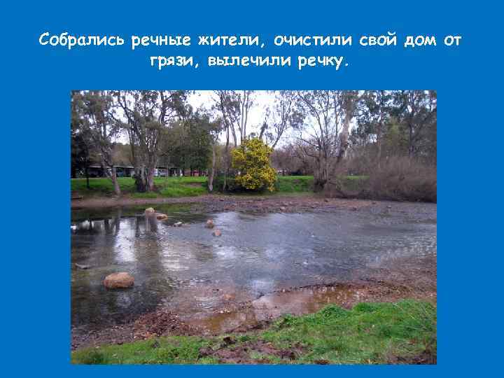 Собрались речные жители, очистили свой дом от грязи, вылечили речку. 