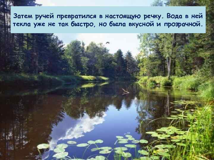 Затем ручей превратился в настоящую речку. Вода в ней текла уже не так быстро,