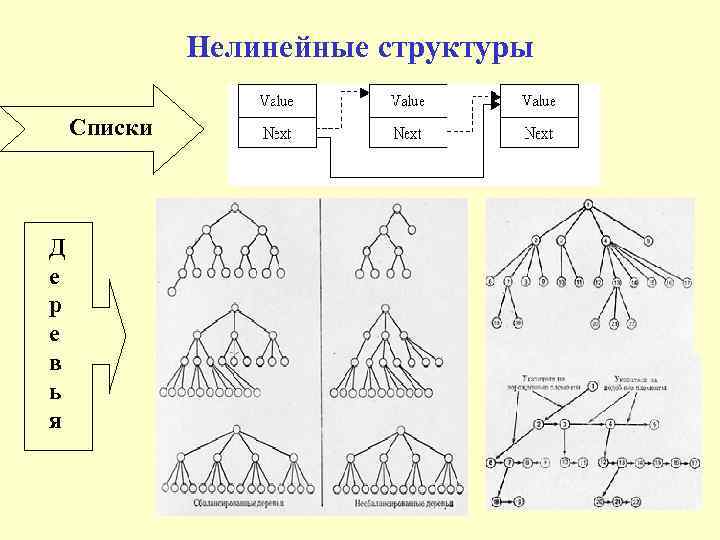 Нелинейные структуры Списки Д е р е в ь я 