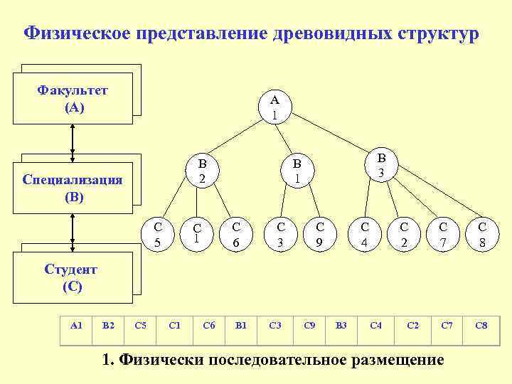Физическое представление древовидных структур Факультет (А) A 1 B 2 Специализация (В) C 5