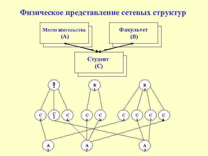 Структурное представление. Сетевая модель предметной области. Структурная модель предметной области. Физическое представление локальной сети. Физическая структура локальных сетей.