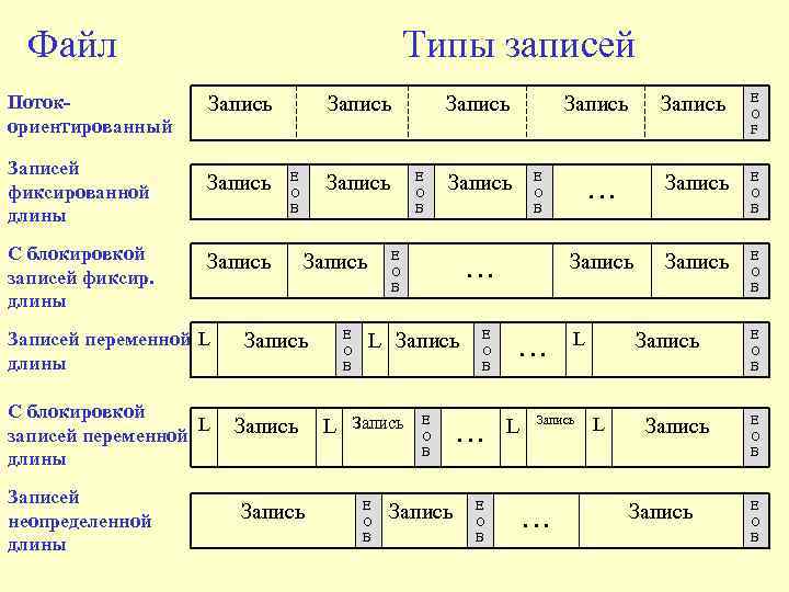 Файл Потокориентированный Записей фиксированной длины С блокировкой записей фиксир. длины Типы записей Запись E