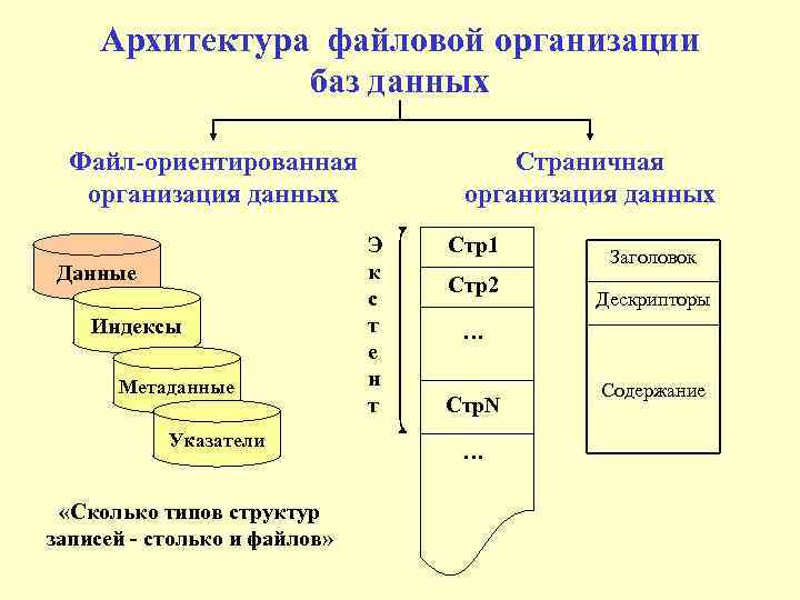 Файл бд. Файловая организация данных. Структурная организация данных. Файловые системы и базы данных. Файловая модель организации баз данных.