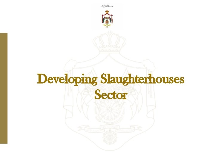 Developing Slaughterhouses Sector 