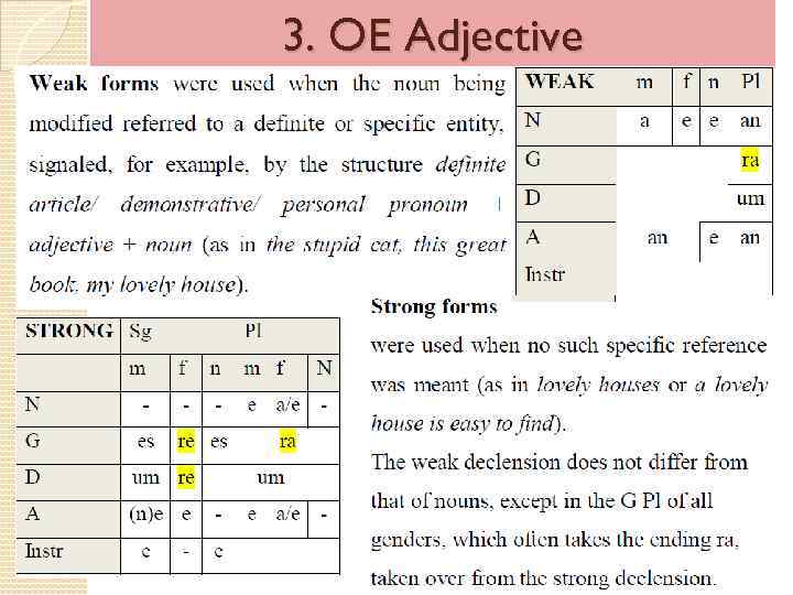 3. OE Adjective 
