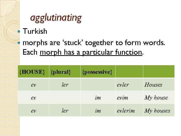 agglutinating Turkish morphs are ‘stuck’ together to form words. Each morph has a particular
